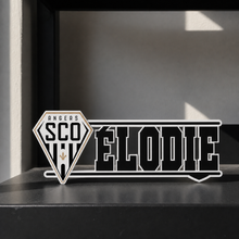 Angers SCO custom name sign