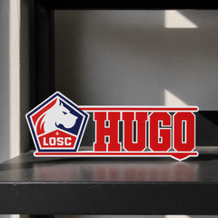 LOSC Lille